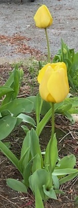 0417-10.jpg