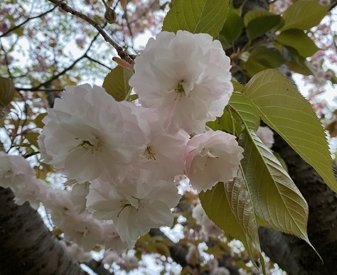 0417-6.jpg