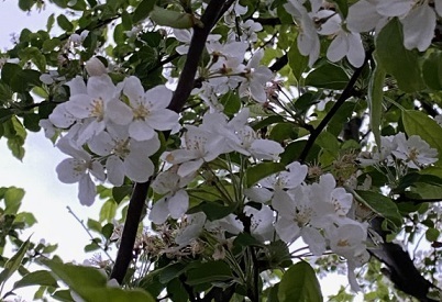 0417-9.jpg
