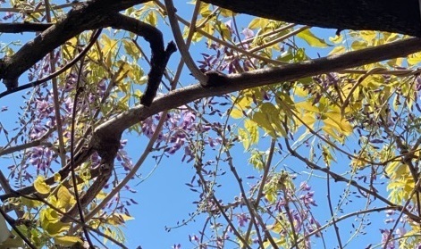 0424-10.jpg
