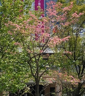 0424-13.jpg