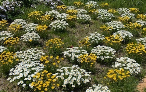 0424-5.jpg