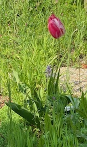 0426-2.jpg