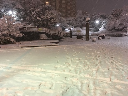 2018雪１.jpg