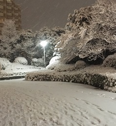2018雪２.jpg