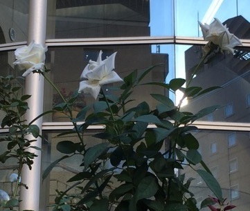 20190916-2.jpg