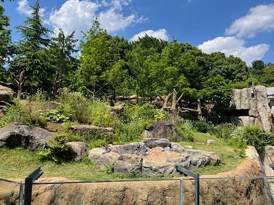 2022-8.jpg