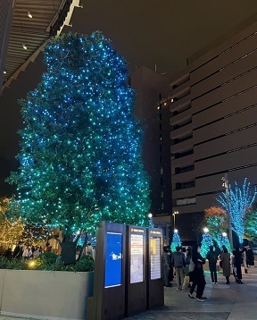 2022クリスマス2.jpg