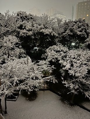 2022雪2.jpg