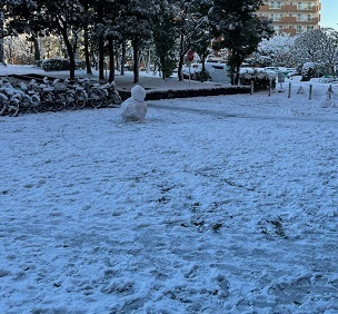 2022雪3.jpg