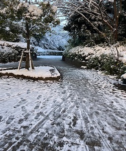 2022雪4.jpg