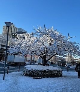 2022雪6.jpg