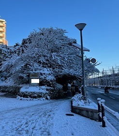 2022雪7.jpg