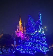 20230729-19.jpg