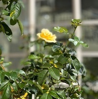 20230923-2.jpg