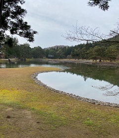 21日ー7.jpg
