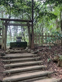 くしふる5.jpg