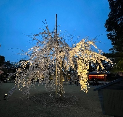 二条城5.jpg