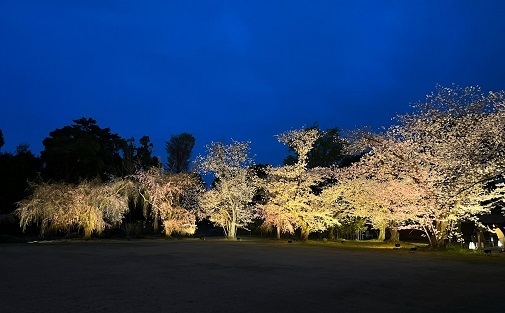 二条城8.jpg