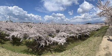 五稜郭-13.jpg