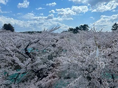 五稜郭-4.jpg