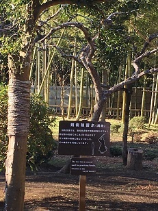 佐倉城6.jpg