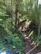 八王子-3.jpg