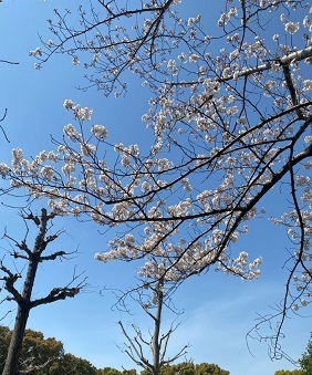 公園1.jpg