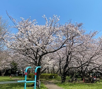 公園6.jpg