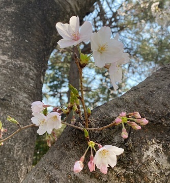 公園7.jpg