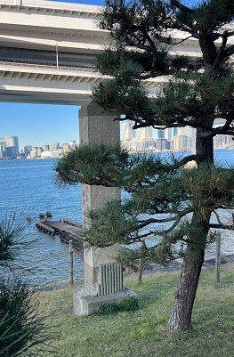 台場11.jpg