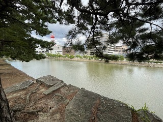 和歌山城-11.jpg