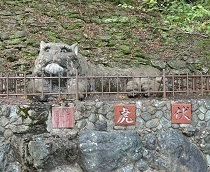 和歌山城-12.jpg