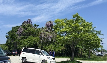 多賀城‐5.jpg