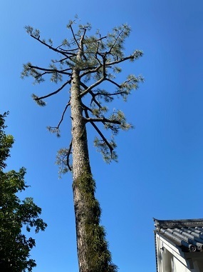 大垣城ー3.jpg