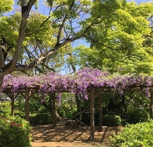 大村公園‐03.jpg