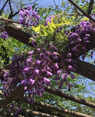 大村公園‐04.jpg