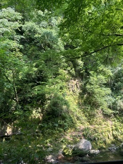 天岩戸神社7.jpg