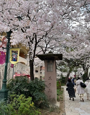 宝塚5.jpg