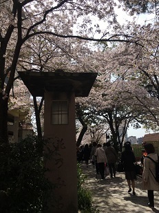 宝塚２.jpg