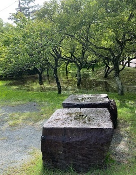 小田原城2020-12.jpg