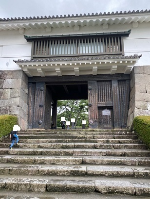 小田原城2020-5.jpg