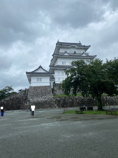 小田原城2020-6.jpg