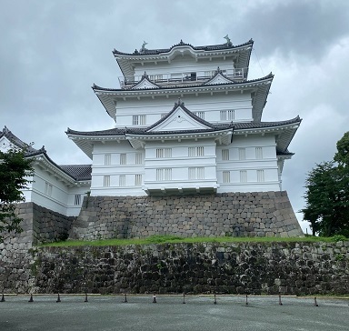 小田原城2020-7.jpg