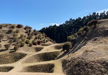 山中城ー7.jpg