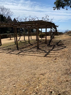 山中城ー8.jpg