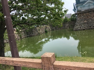 岸和田城‐3.jpg