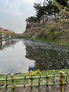 弘前城-1.jpg