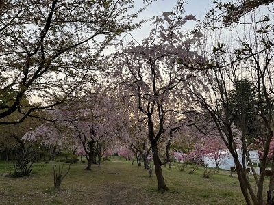 弘前城-12.jpg