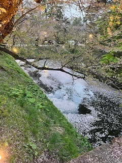 弘前城-17.jpg